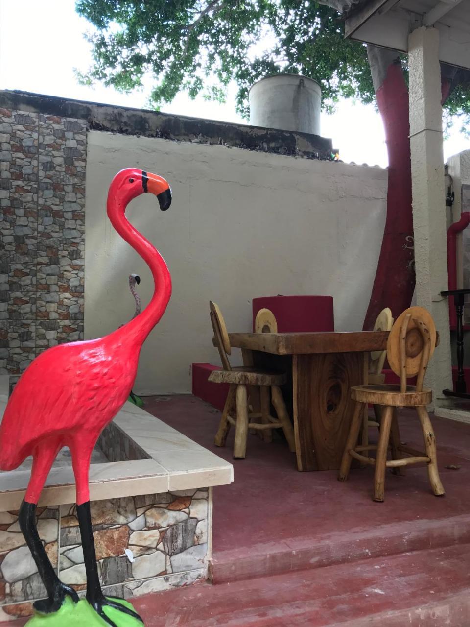 Mi Casa Hostel Riohacha Exterior photo
